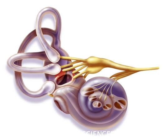 inner ear vertigo